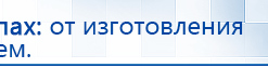ДЭНАС - Аппликатор купить в Белорецке, Электроды Дэнас купить в Белорецке, Дэнас официальный сайт denasolm.ru